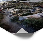 Poster Escalier d'or - Trail John Muir (Coin)