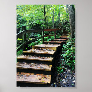 Poster escalier du parc d'état des grottes maquoketa