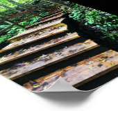 Poster escalier du parc d'état des grottes maquoketa (Coin)