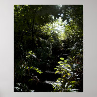 Escalier rustique/sentier en forêt, soleil