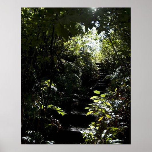 Poster Escalier rustique/sentier en forêt, soleil (Devant)