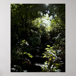 Poster Escalier/sentier piéton rustiques dans la forêt,