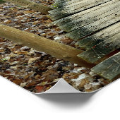 Poster Escaliers en bois à travers la forêt (Coin)