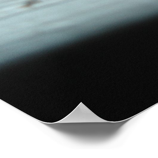 Poster Escargot (Coin)