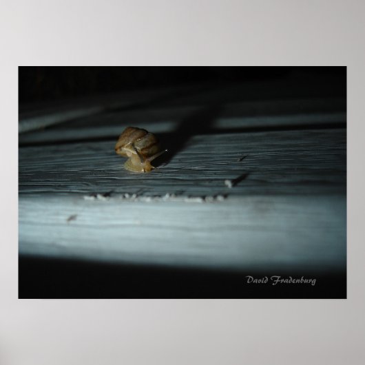 Poster Escargot (Devant)