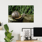 Poster Escargot (Bureau à domicile)