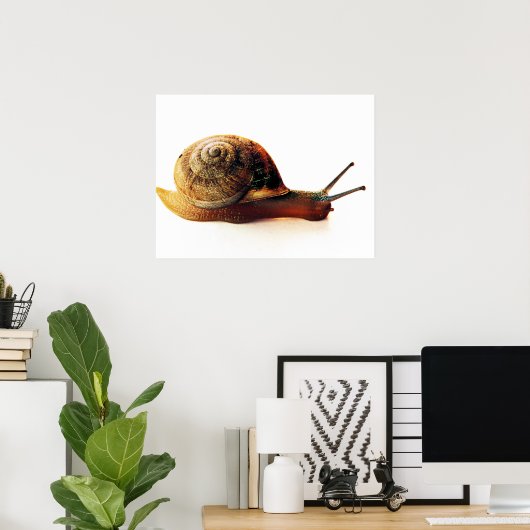 Poster escargot (Bureau à domicile)