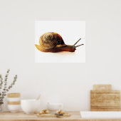 Poster escargot (Cuisine)