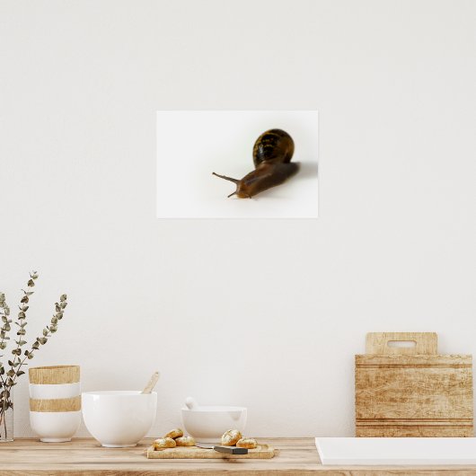 Poster Escargot (Cuisine)