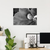 Poster Escargot (Bureau à domicile)