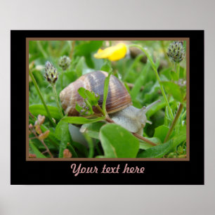 Poster Escargot avec la fleur jaune