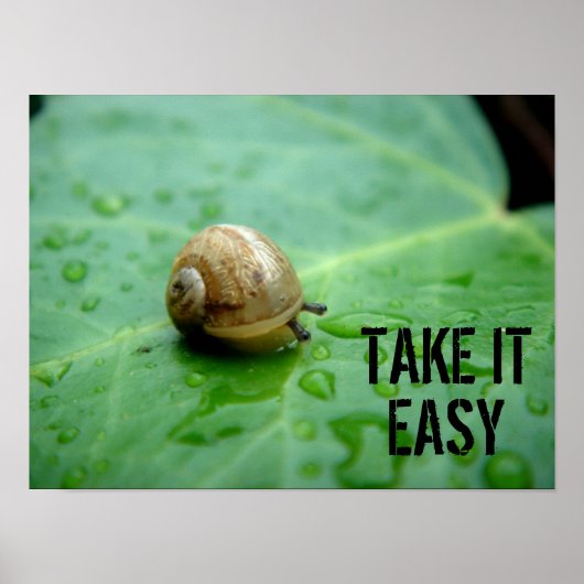 Poster Escargot de bébé (Devant)