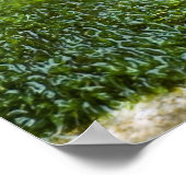 Poster Escargot de Bourgogne (Coin)