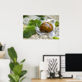 Poster Escargot de Bourgogne (Bureau à domicile)
