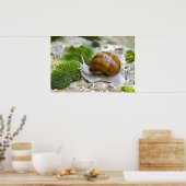 Poster Escargot de Bourgogne (Cuisine)