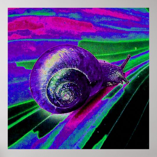Poster escargot néon (Devant)