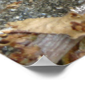 Poster Escargot sur la course (Coin)