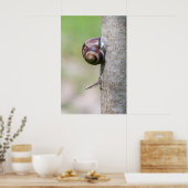 Poster Escargot sur l'arbre (Cuisine)