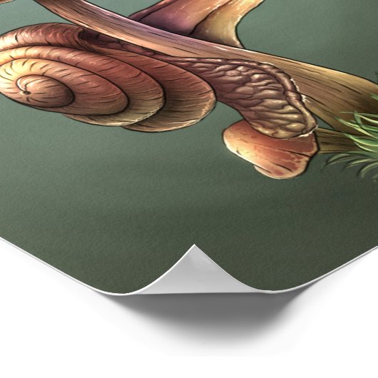 Poster Escargot sur le champignon (Coin)
