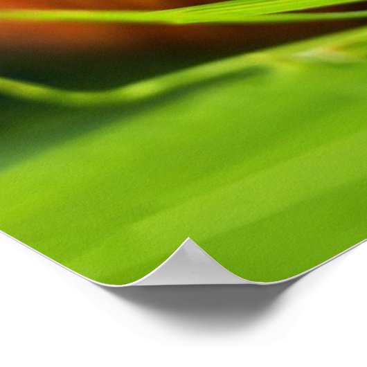 Poster Escargots (Coin)