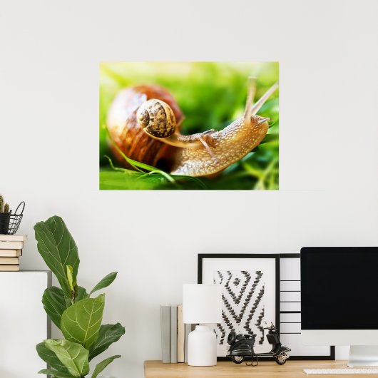 Poster Escargots (Bureau à domicile)