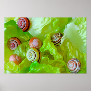 Poster Escargots sur laitue