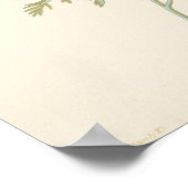 Poster Eschscoltzia californienne (Coin)