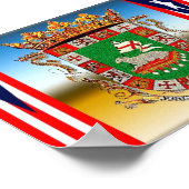 POSTER ESCUDO Y BANDERAS (Coin)