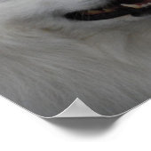 Poster Eskimo Dog (Hoek)