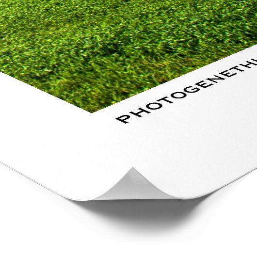 Poster Espace (Coin)