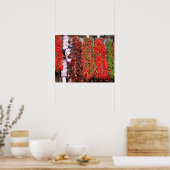 Poster Espagne, Catalogne, Barcelone, La Boqueria (Cuisine)