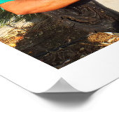 Poster Espagnol avec pamplemousse (Coin)
