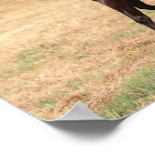Poster Espagnol Brown foncé Mustang Mare marcher (Coin)