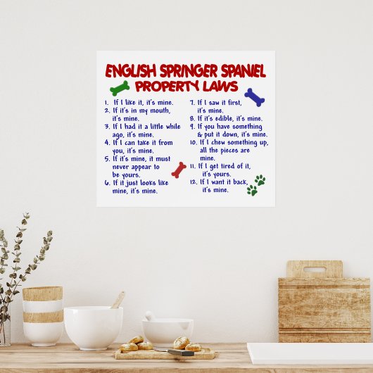 POSTER ESPAGNOL SPRINGER ANGLAIS PL2 (Cuisine)