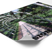 Poster Espalier Apple Tree - Vision (Coin)