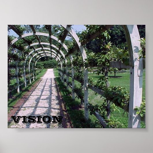 Poster Espalier Apple Tree - Vision (Devant)