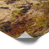 Poster Espana (Coin)