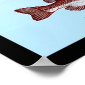 Poster Espèces de basse du Sud-Est (Coin)