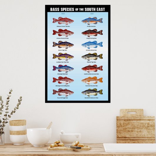 Poster Espèces de basse du Sud-Est (Cuisine)