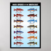 Poster Espèces de basse du Sud-Est (Devant)
