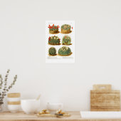 Poster Espèces de cactus (Cuisine)