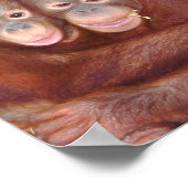 Poster Espèces en danger pour la faune (Coin)