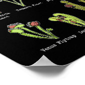 Poster Espèces Plantes carnivores Saracenia Vénus Flytrap (Coin)