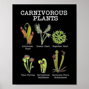 Poster Espèces Plantes carnivores Saracenia Vénus Flytrap