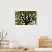 Poster espoir du printemps muet (Cuisine)