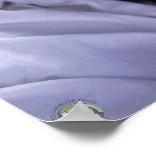 Poster Espresso (Coin)