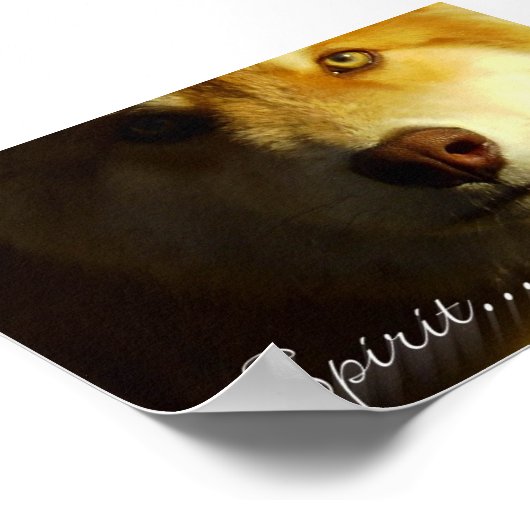 Poster Esprit (Coin)