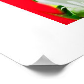 Poster Esprit blanc (Coin)