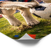 Poster Esprit de championnat du Malamute d'Alaska (Coin)