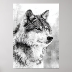 Poster Esprit de la nature - Loup gris, croquis d'art fin